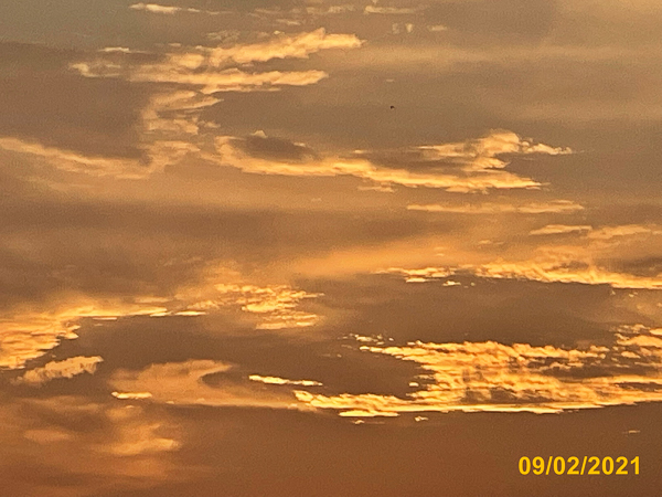 0016