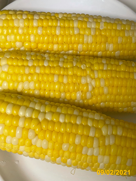0021