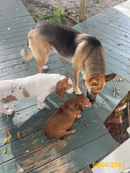 0038