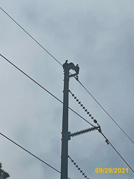 1082