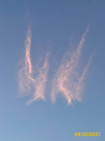 1098