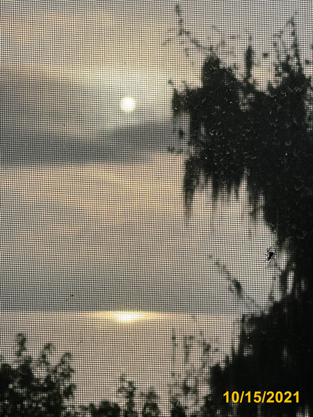 0808