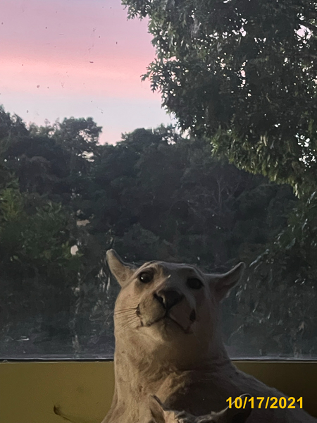 0909
