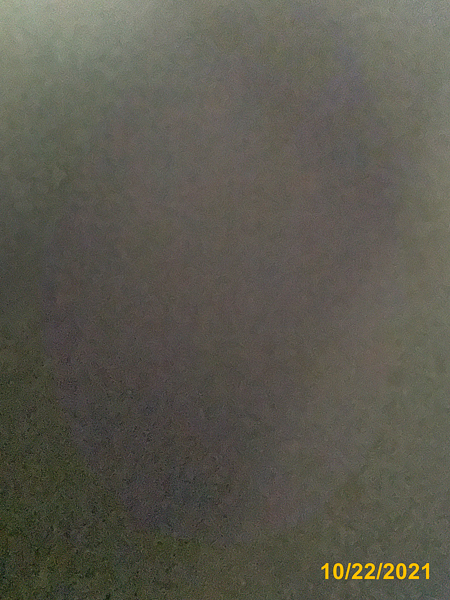 1239