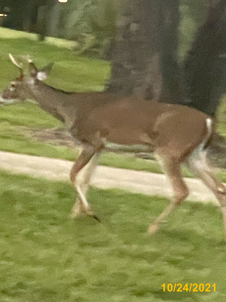 1320