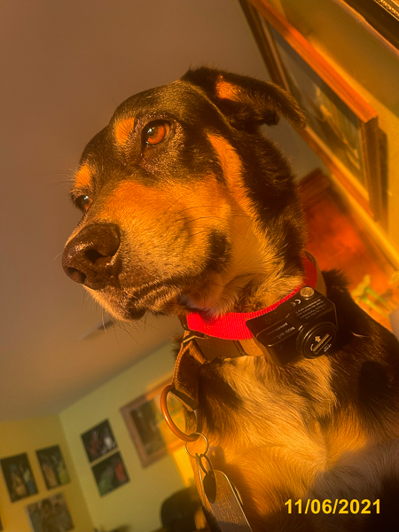 0395