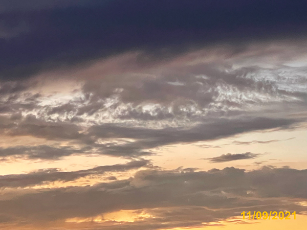 0498