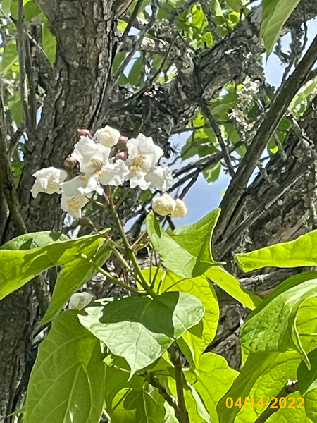0415