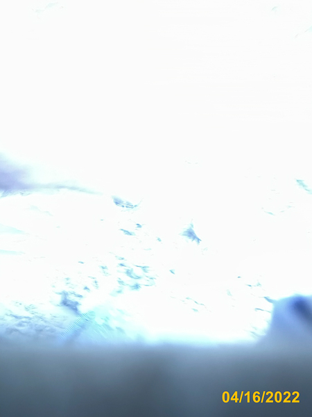0481