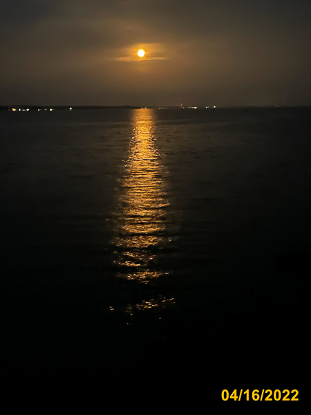 0496