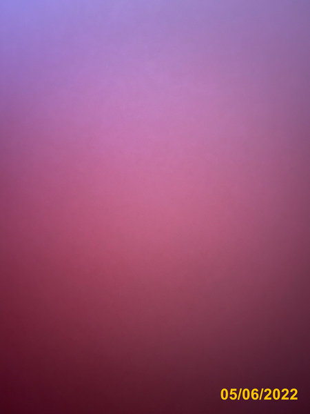0290