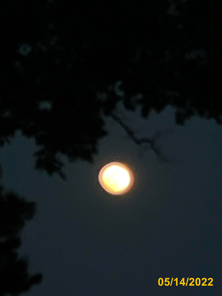 0469