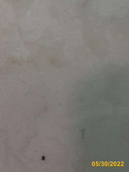 1083