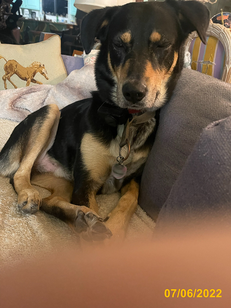 0800