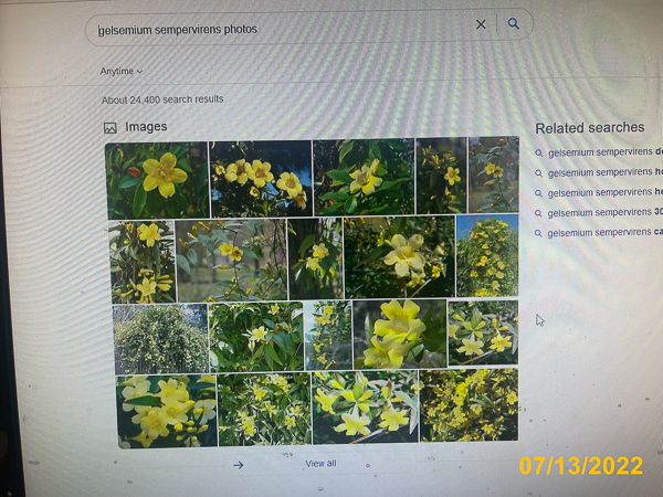 1085
