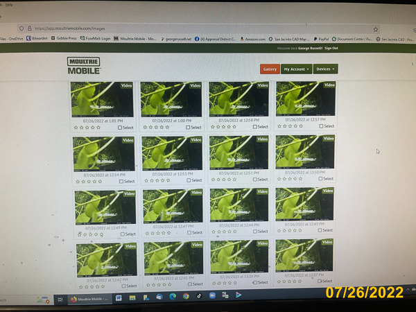 1373