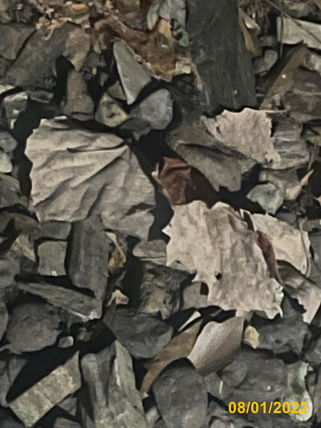0453