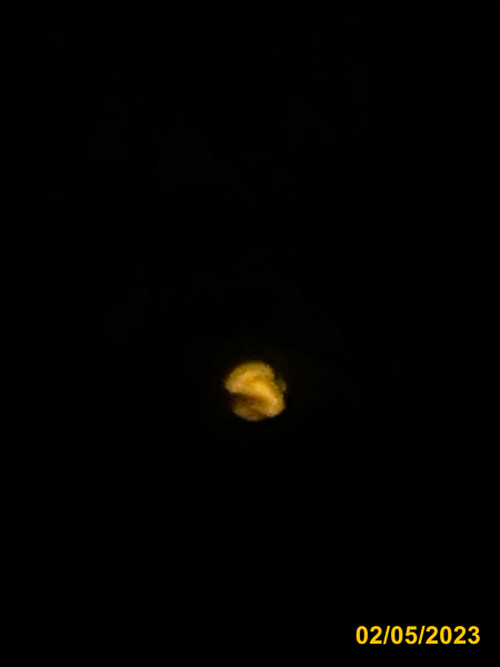 0017