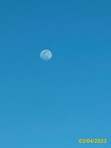 0184