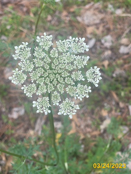 0627