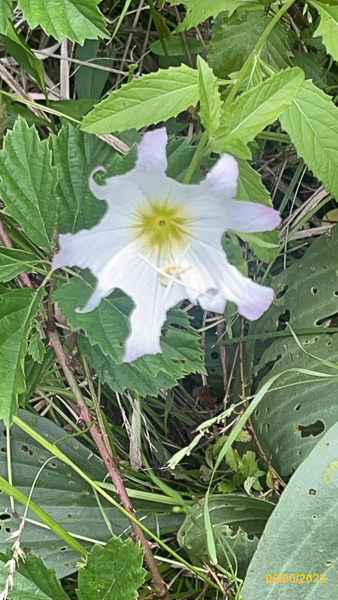 0408