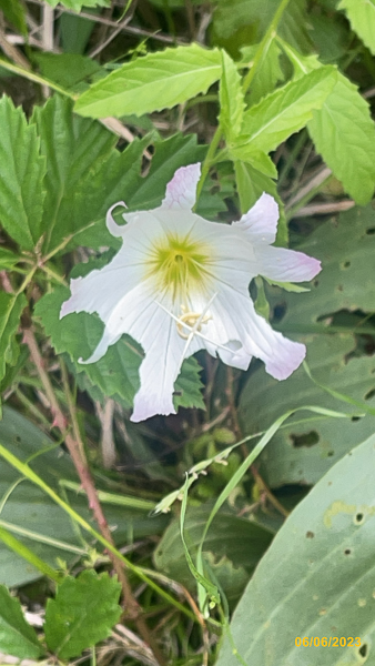 0409