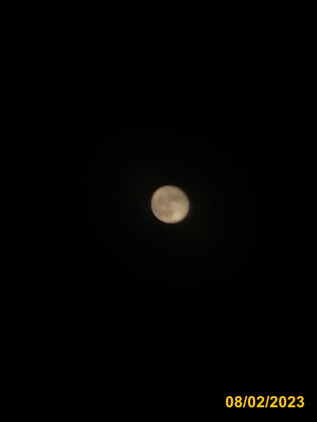 0080