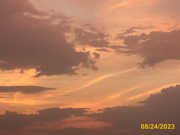 0500