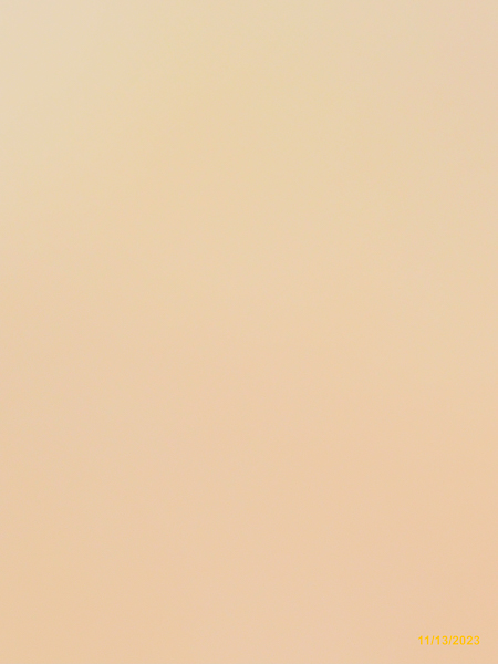 0263