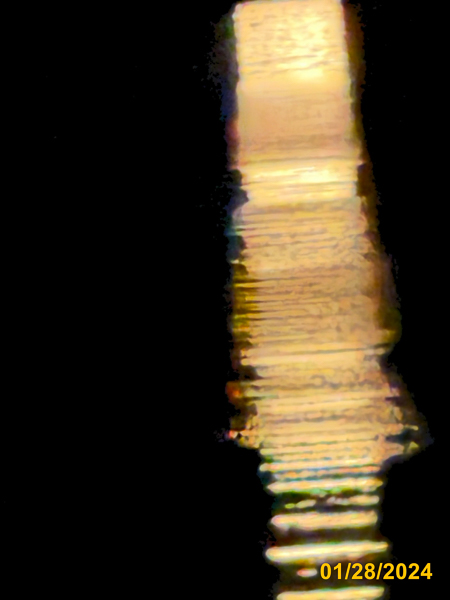 0291