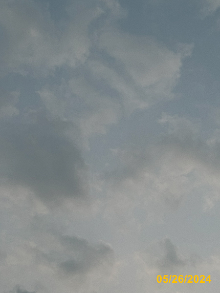 0296