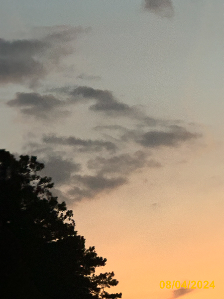 0065
