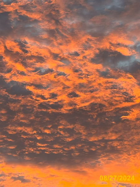 0528
