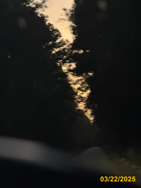 0006
