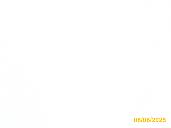 0113