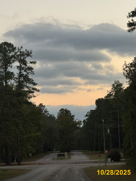 0381