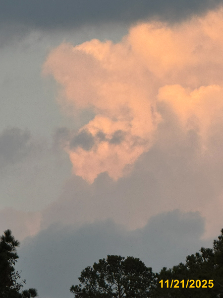 0204