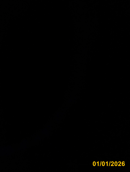 0011